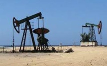 Enquête : Comment les rapaces se sont partagés le pétrole tunisien ?